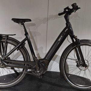 Dutch ID Phantom Dames Zwart 54 55cm