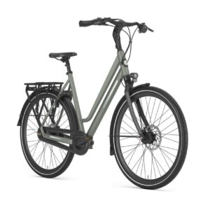 GAZELLE Chamonix C8 Dames Clay Green Mat 49cm 2024