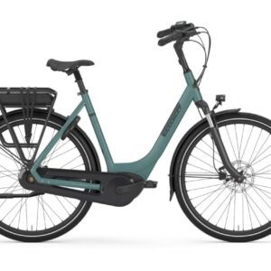 GAZELLE Paris C7+ Dames Thyme Green Mat 53cm 2025