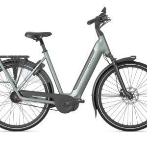 GAZELLE Grenoble C5+ First Edition Dames Twilight Green Mat 53cm 2027