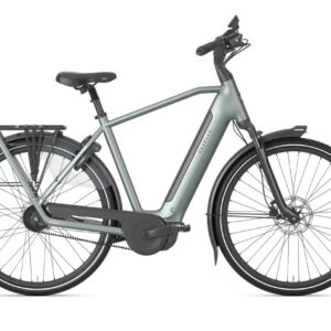 GAZELLE Grenoble C5+ First Edition Heren Twilight Green Mat 61cm 2027