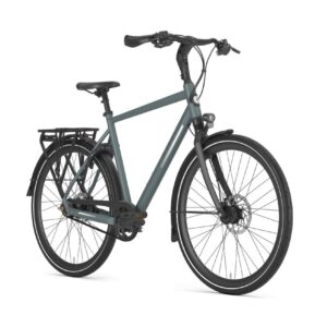 GAZELLE Chamonix S8 Heren Green 61cm 2026