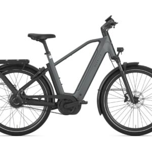 GAZELLE Eclipse C380 Heren Anthracite Grey Mat 60cm 2027